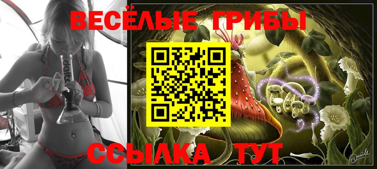 Галлюциногенные грибы Psilocybe  Вход с VPN  где можно купить наркотик  Владимир  Псилоцибиновые грибы Cubensis 