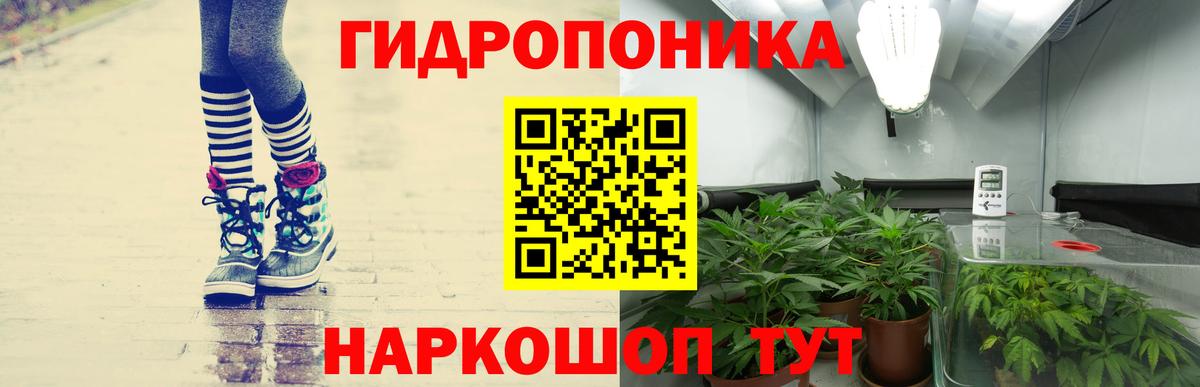 Бошки Шишки ГИДРОПОН  Вход с VPN  Конопля White Widow  Владимир 